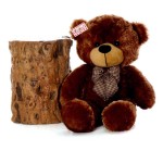 2.5 Feet Brown Big Teddy Bear with a Bow